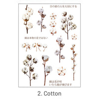 2. Cotton