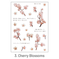3. Cherry Blossoms
