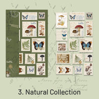 3. Butterfly and Mushroom