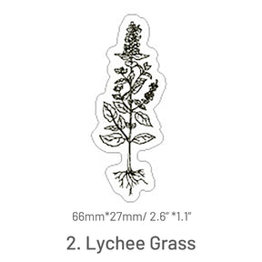 Stamprints Plant Cultivation Series Rubber Stamp 5