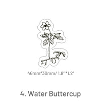 4. Water Buttercup