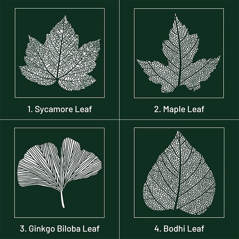 Stamprints Simple Leaf Shape Rubber Stamp 3