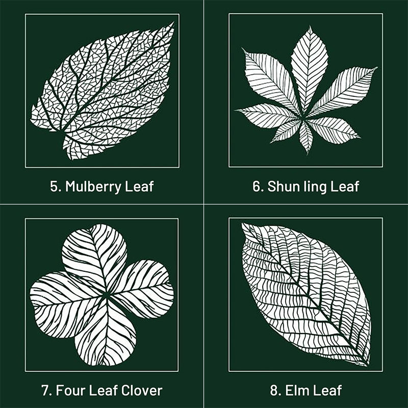simple leaf shapes