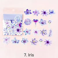 7. Iris