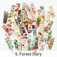 5. Forest Diary