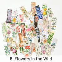 6. Flowers in the Wild