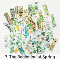 7. The Beginning of Spring