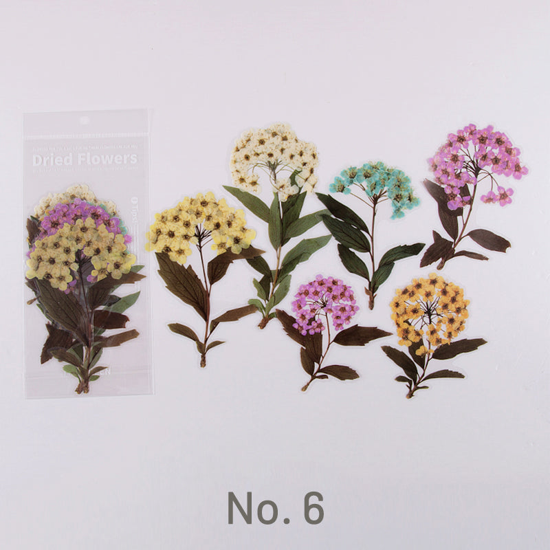 Translucent Vintage Dried Flowers PET Sticker sku-6
