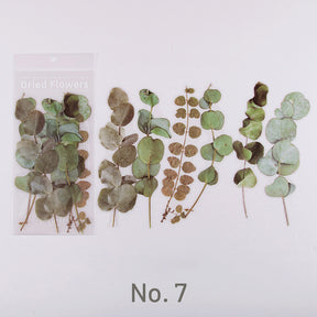 Eucalyptus Leaf-Dried Flowers and Botanicals Large PET Sticker - Rose, Sunflower, Peony, Fern, Daffodil, Leaf