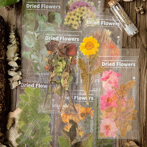 Dried Flowers and Botanicals Large PET Sticker - Rose, Sunflower, Peony, Fern, Daffodil, Leaf