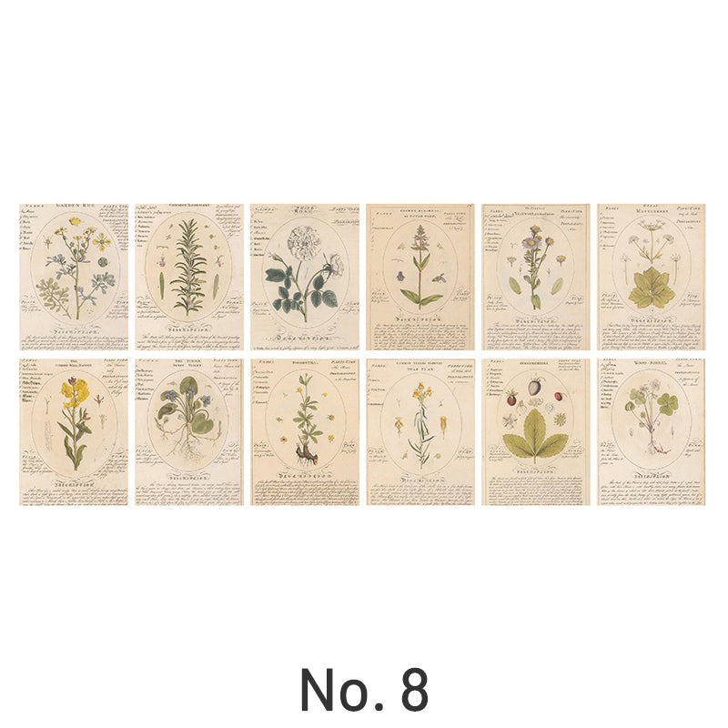 Vintage Nature Creative Plant Scrapbook Paper sku-8