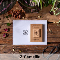 2. Camellia