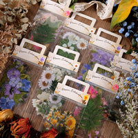 5. Complete Set (10% OFF)