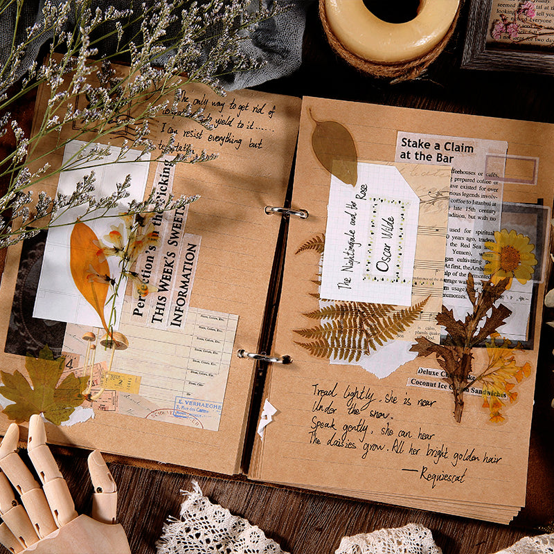 Wild Field Flower Plant PET Sticker Pack b2