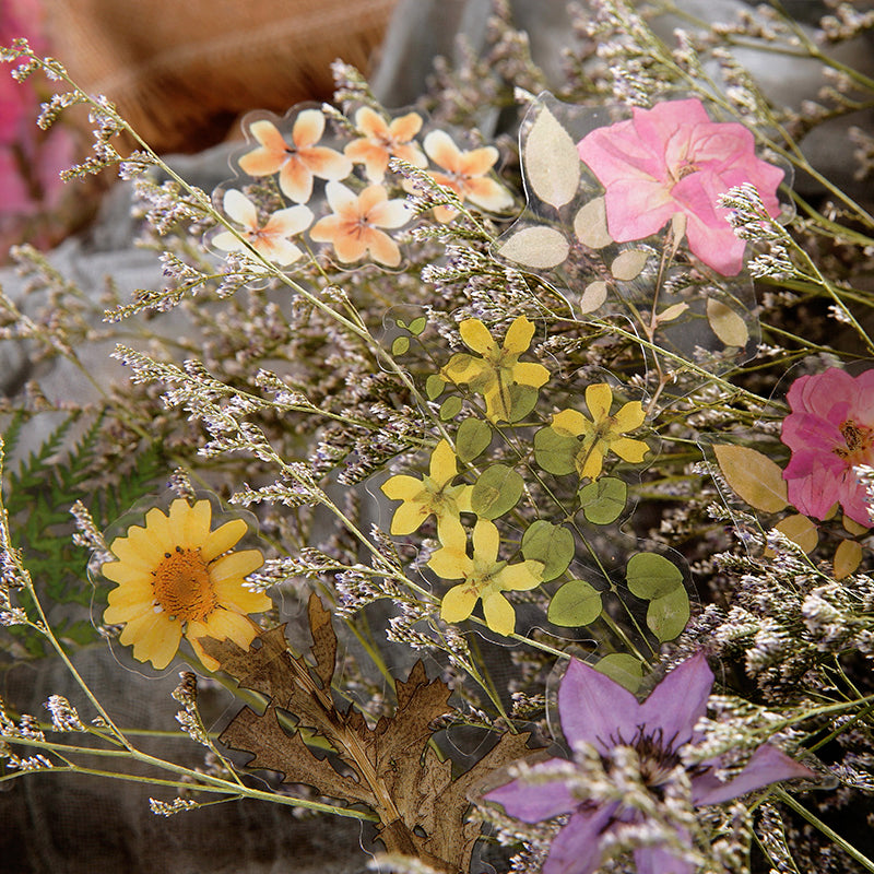 Wild Field Flower Plant PET Sticker Pack c