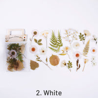 2. White